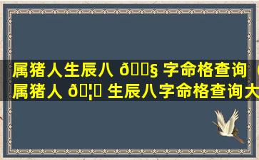 属猪人生辰八 🐧 字命格查询（属猪人 🦍 生辰八字命格查询大全）